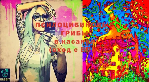 2c-b Богданович