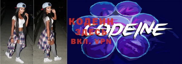 хмурый Богородицк