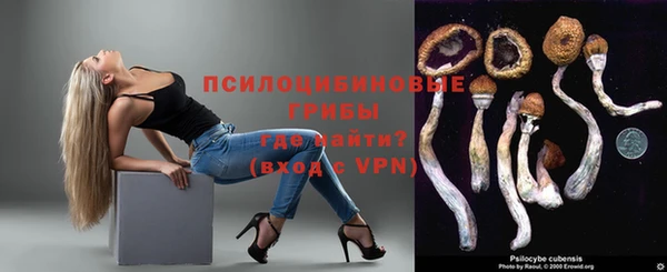 прущий лед Армянск