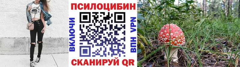 Галлюциногенные грибы GOLDEN TEACHER  Купить  Людиново 