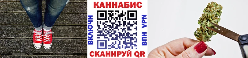 Бошки Шишки THC 21%  Купить где  Людиново 